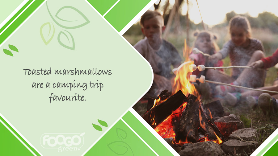 Children roasting marshmallows over camp fire