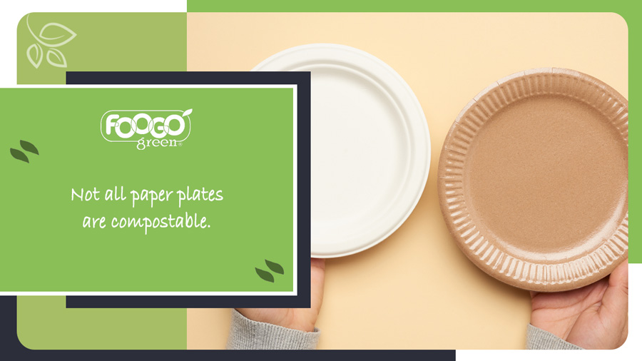 Are Paper Plates Recyclable & Eco-Friendly? Looking Behind The Paper