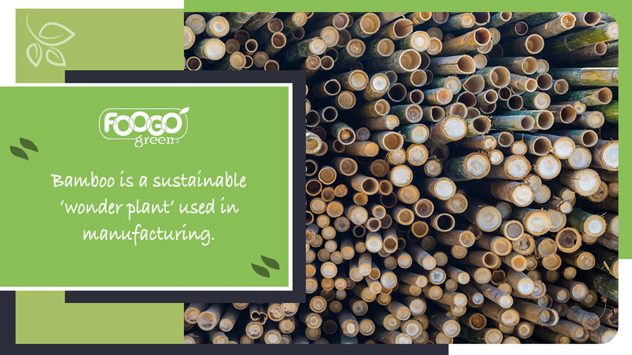 Harvested bamboo stalks used to manufacture eco-friendly cutlery