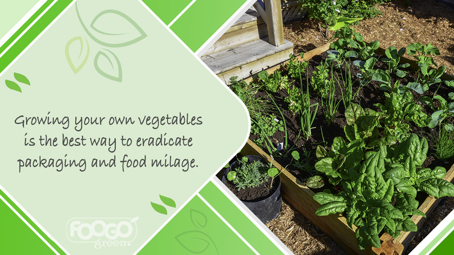Vegetables growing in garden to reduce reliance on packaged foods