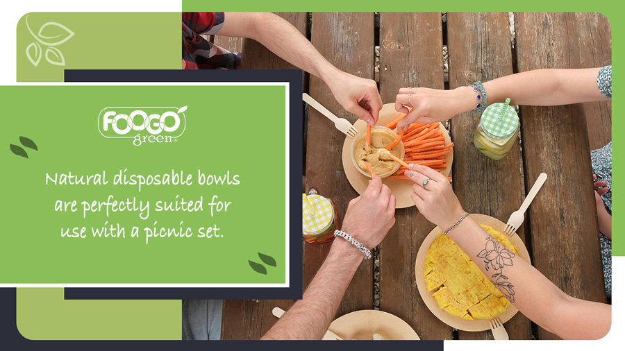 Compostable bowls and plates used for a picnic