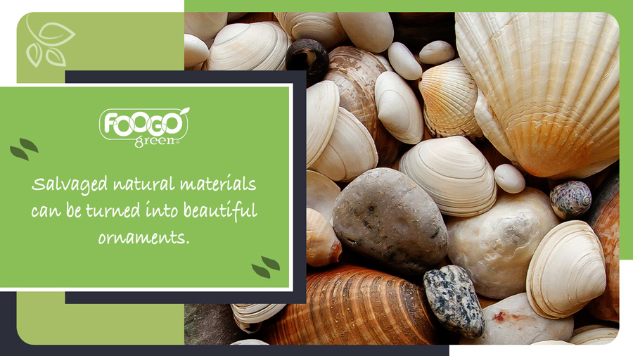 Reclaimed seashells to be used as jewellery