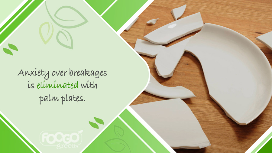 Broken crockery plates: a risk that can be avoided with reusable palm leaf plates