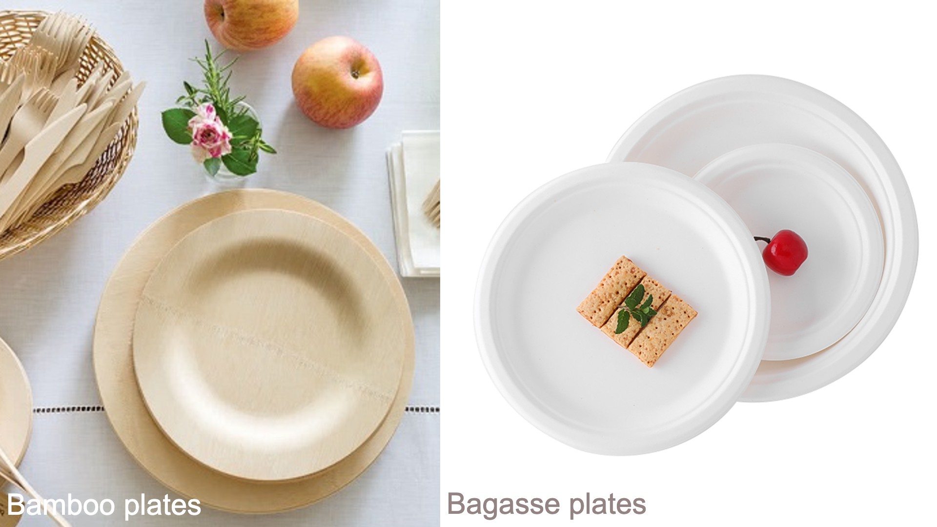 5 Reasons To Switch To Eco Friendly Disposable Plates